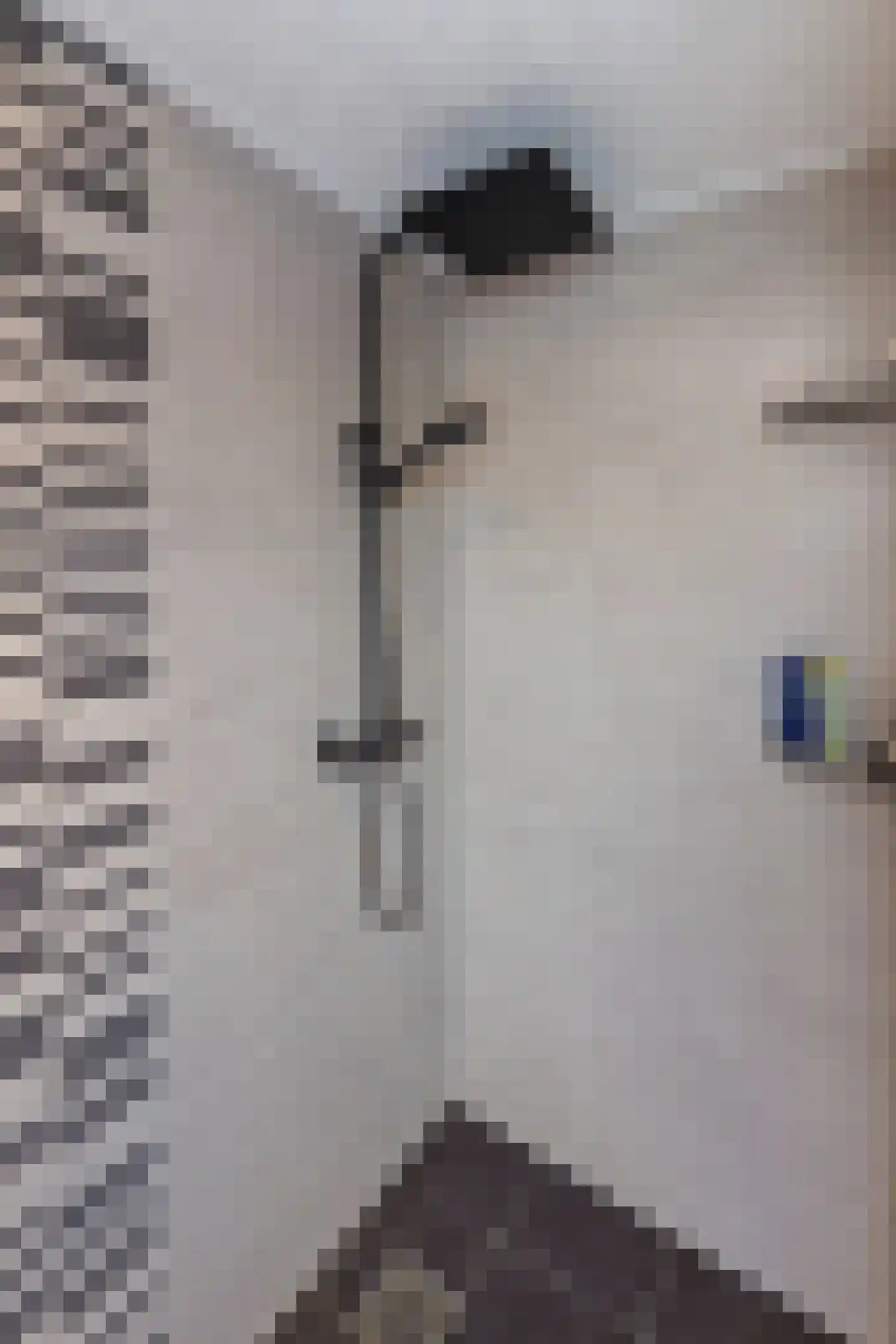 Enkstraat 113 Raalte thumbnail 30
