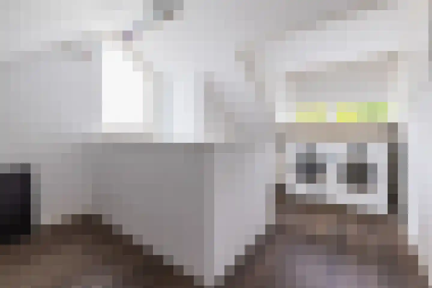 Enkstraat 113 Raalte thumbnail 34