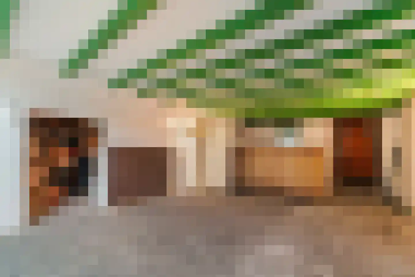 Enkstraat 113 Raalte thumbnail 36