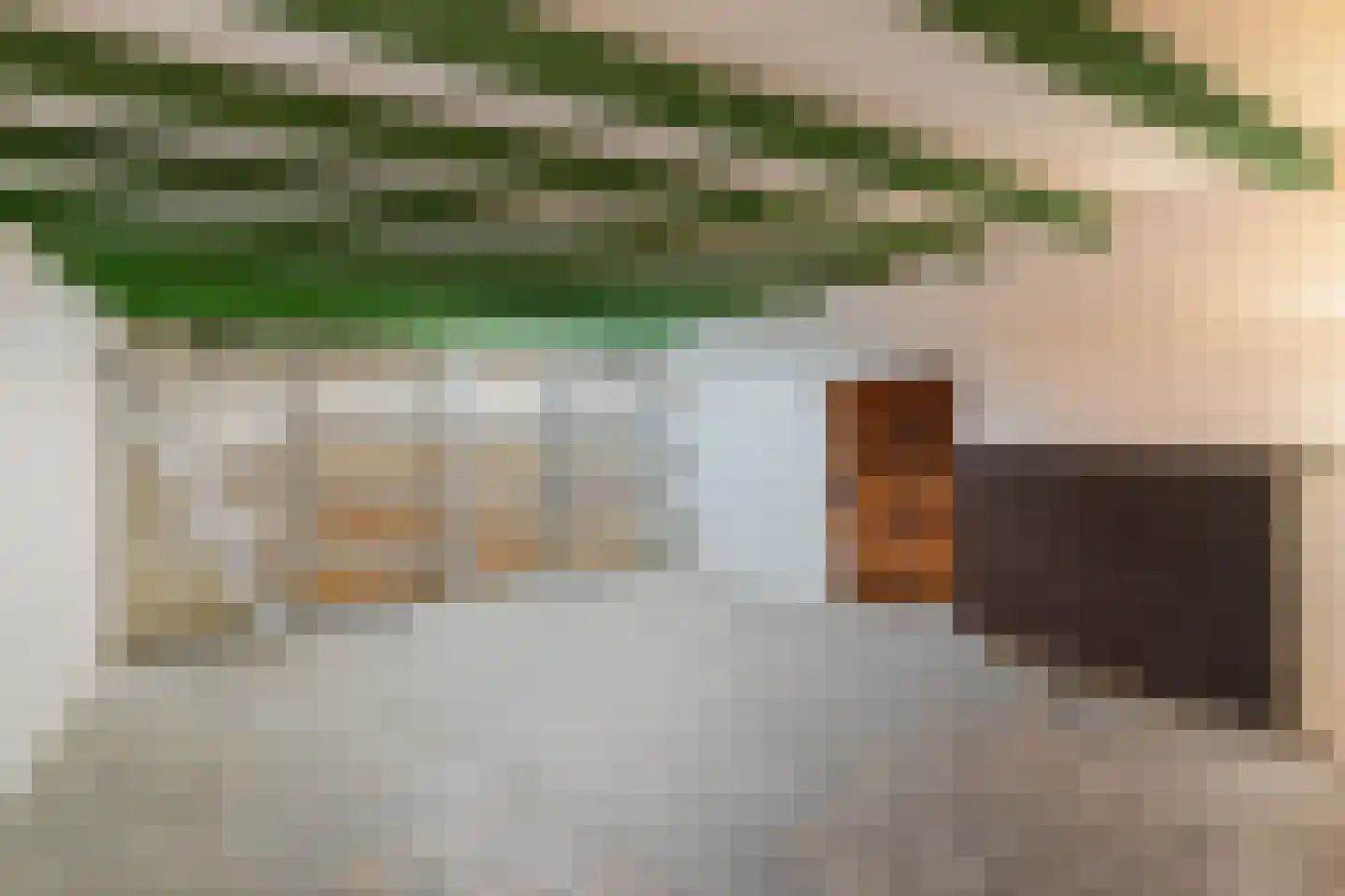 Enkstraat 113 Raalte thumbnail 37