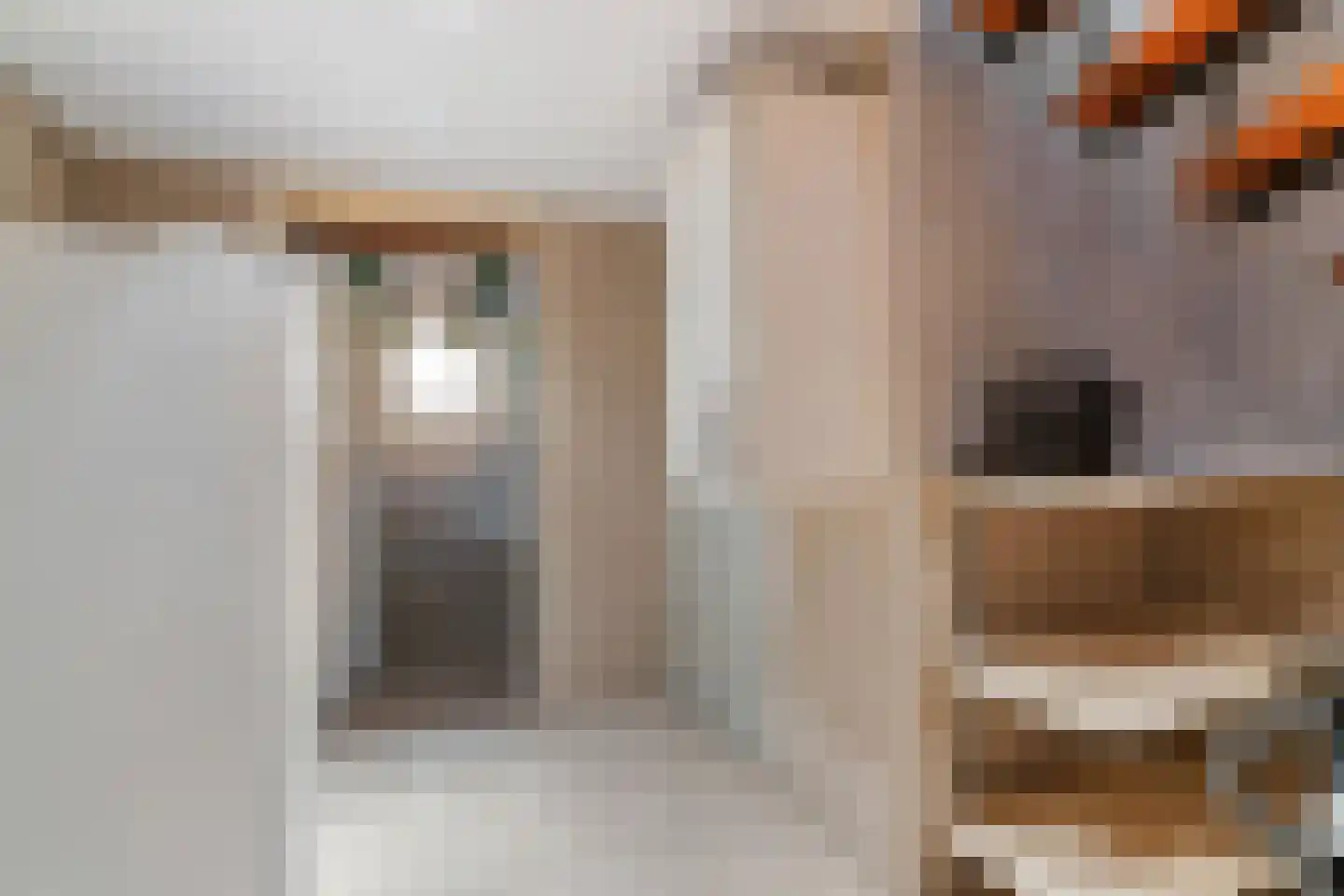 Enkstraat 113 Raalte thumbnail 39