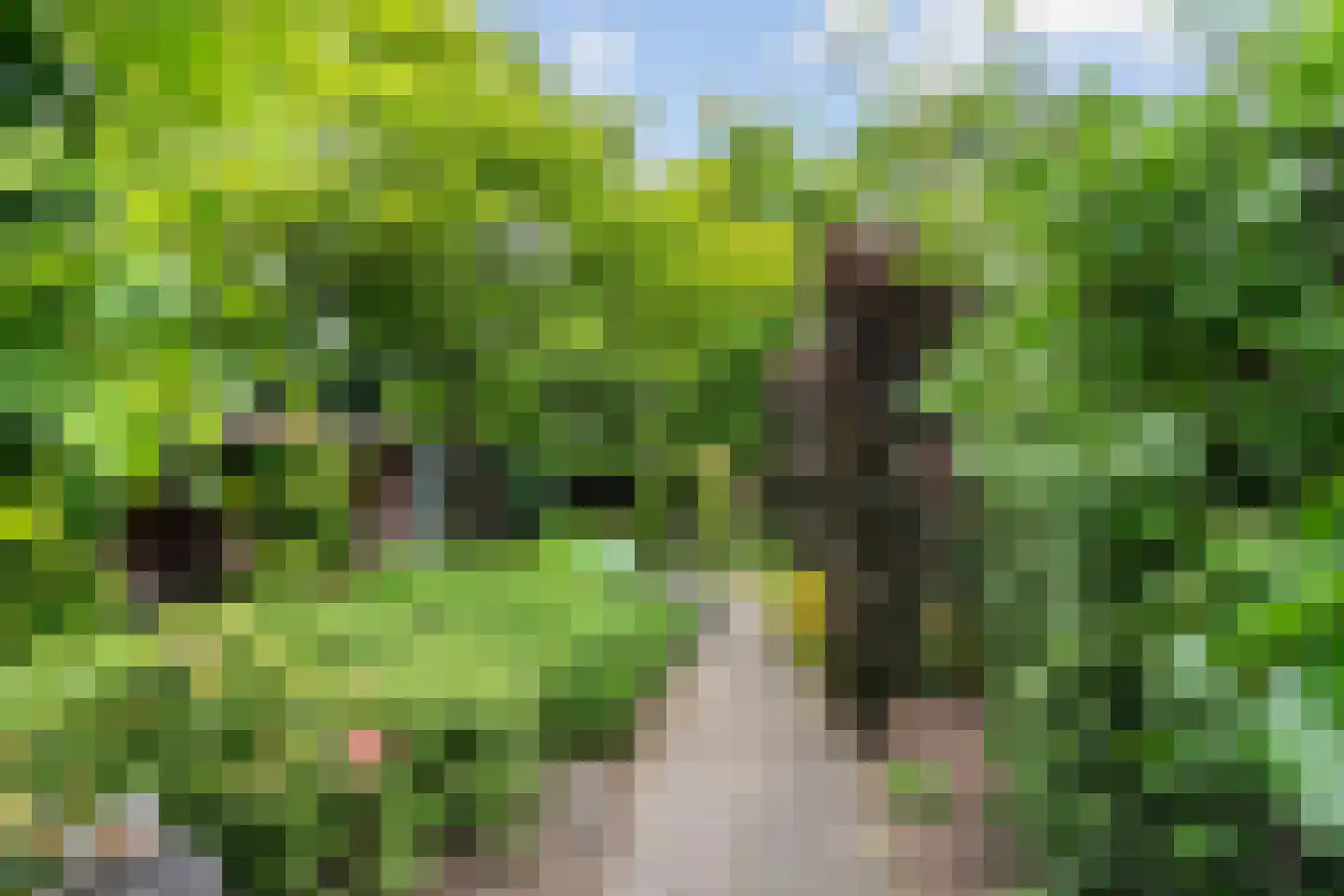 Enkstraat 113 Raalte thumbnail 40