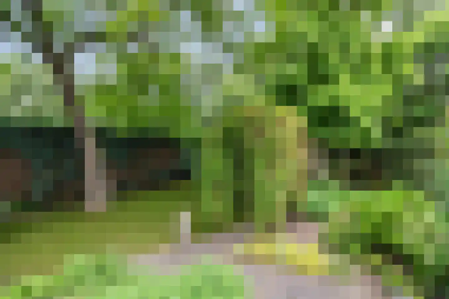 Enkstraat 113 Raalte thumbnail 41