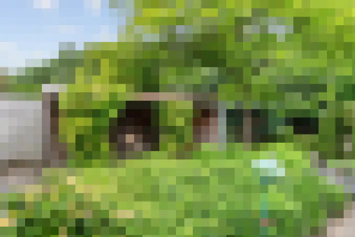 Enkstraat 113 Raalte thumbnail 42
