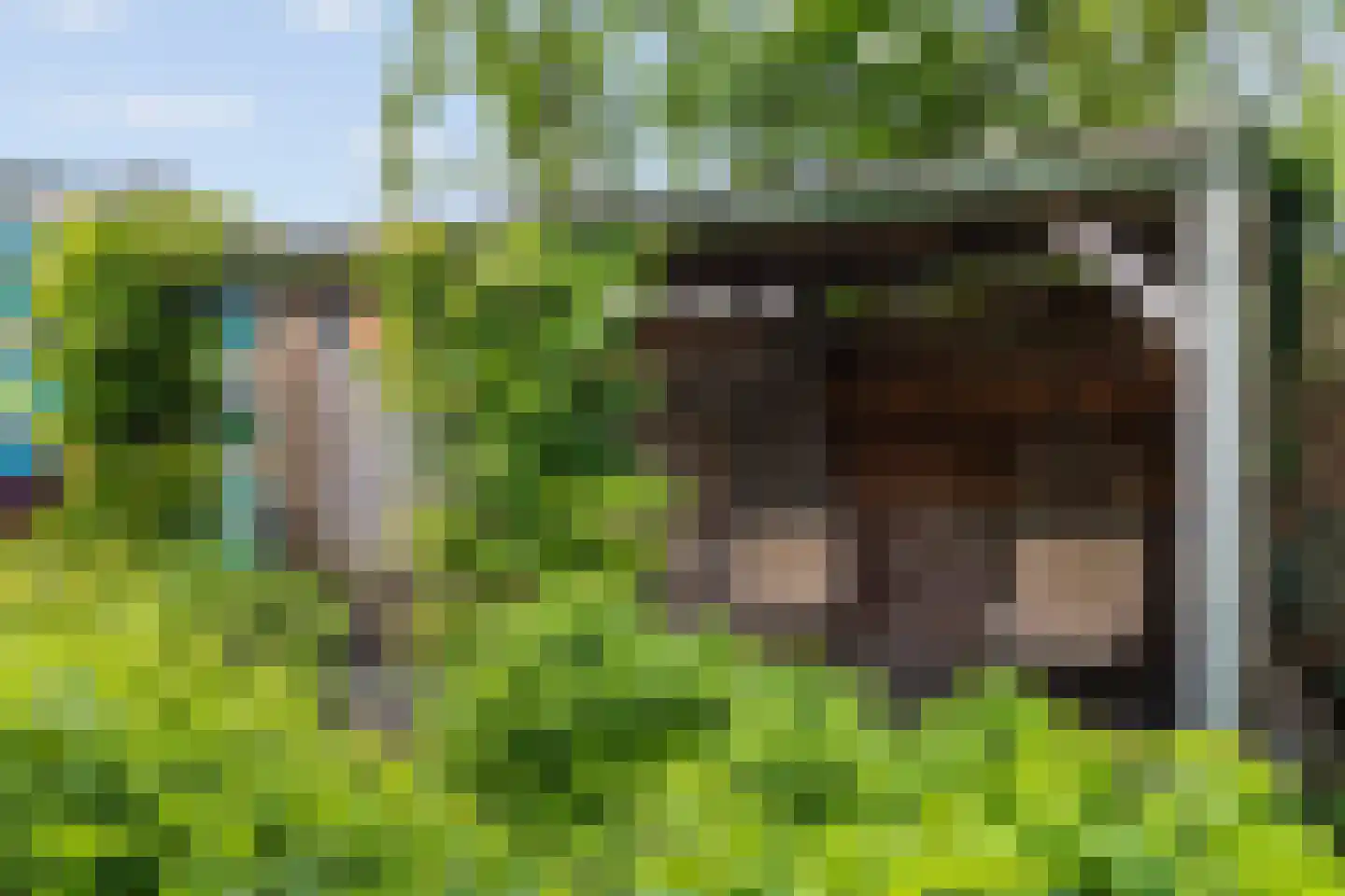 Enkstraat 113 Raalte thumbnail 43
