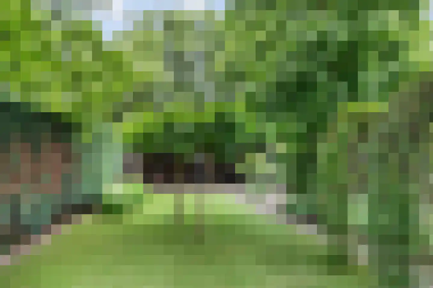 Enkstraat 113 Raalte thumbnail 44