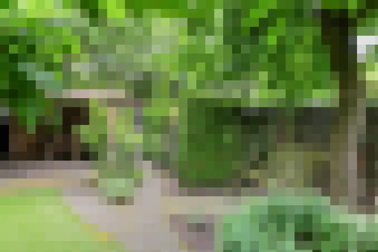 Enkstraat 113 Raalte thumbnail 45