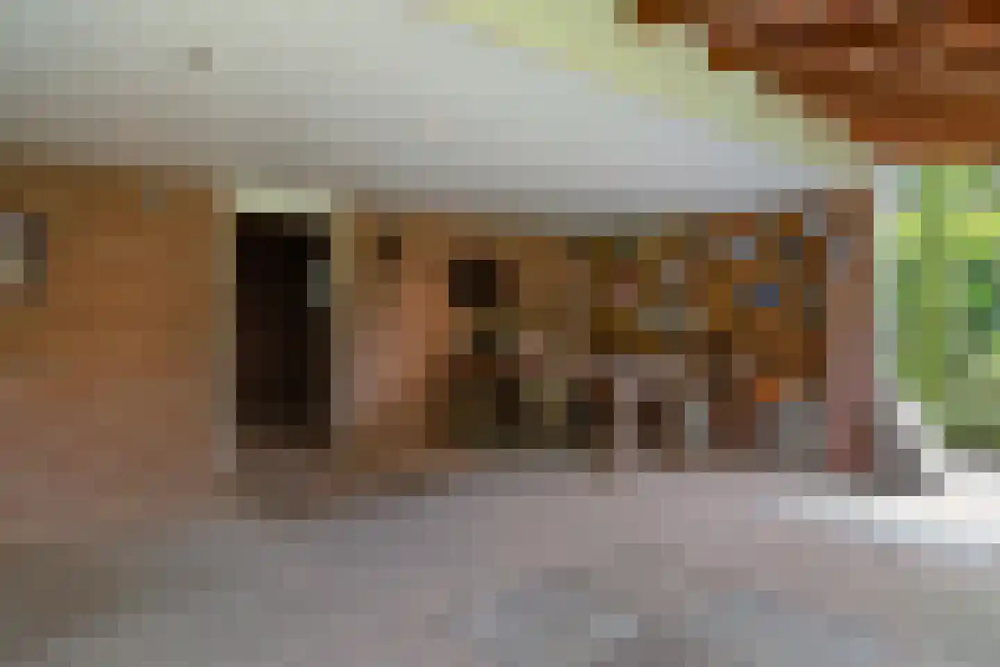 Enkstraat 113 Raalte thumbnail 46