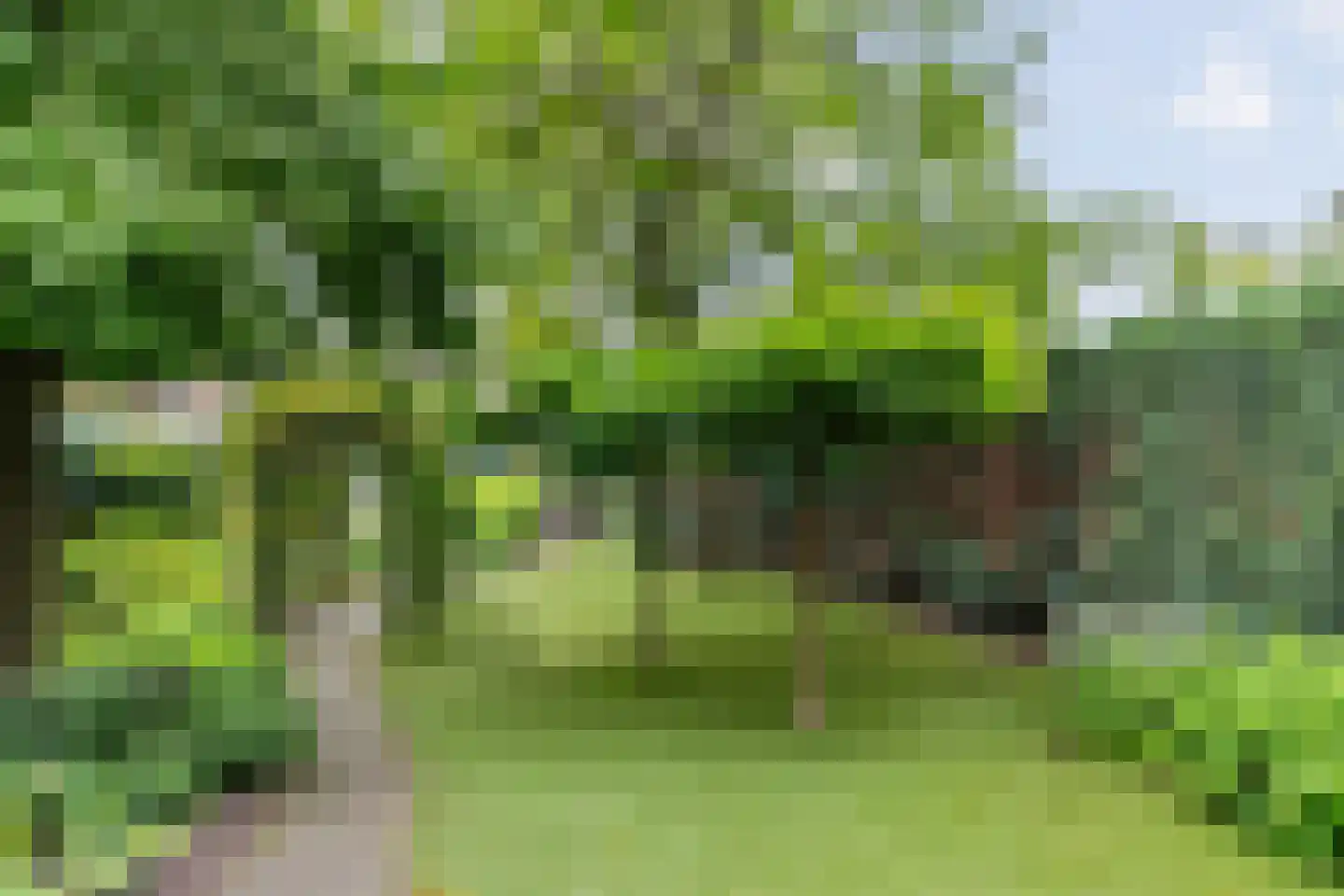 Enkstraat 113 Raalte thumbnail 47