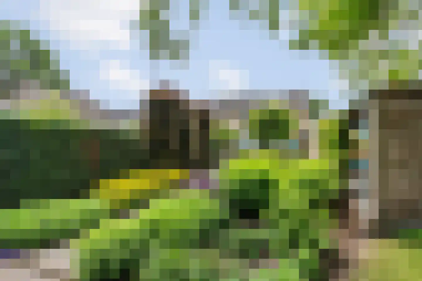 Enkstraat 113 Raalte thumbnail 48