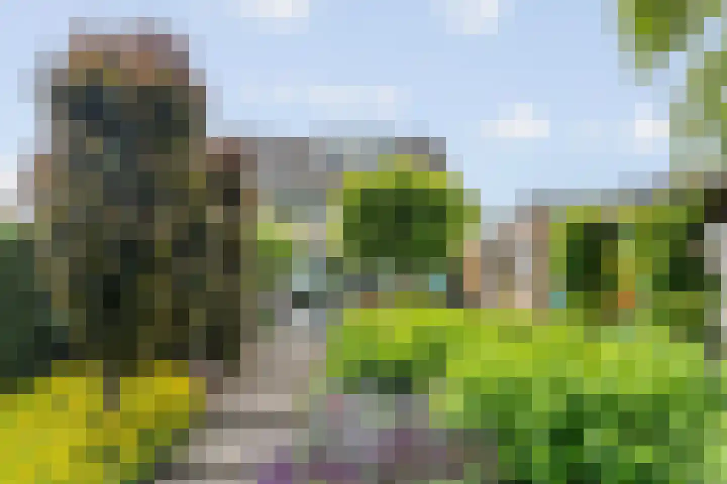 Enkstraat 113 Raalte thumbnail 49