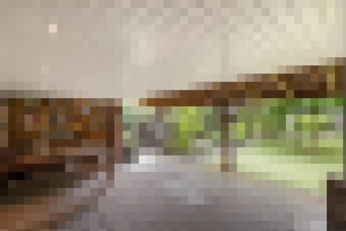 Enkstraat 113 Raalte thumbnail 51