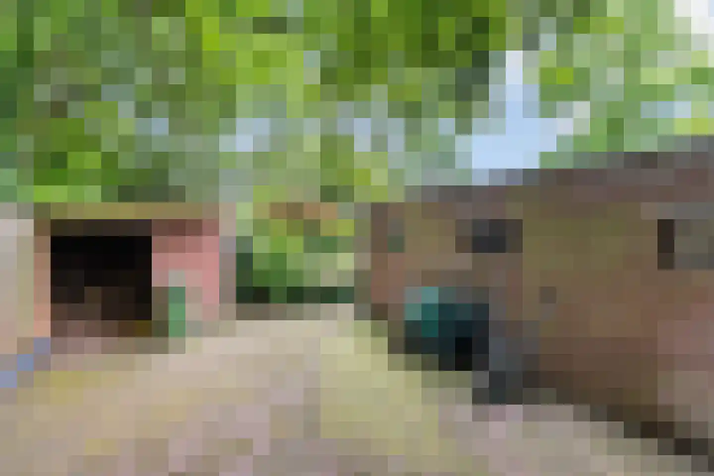 Enkstraat 113 Raalte thumbnail 52