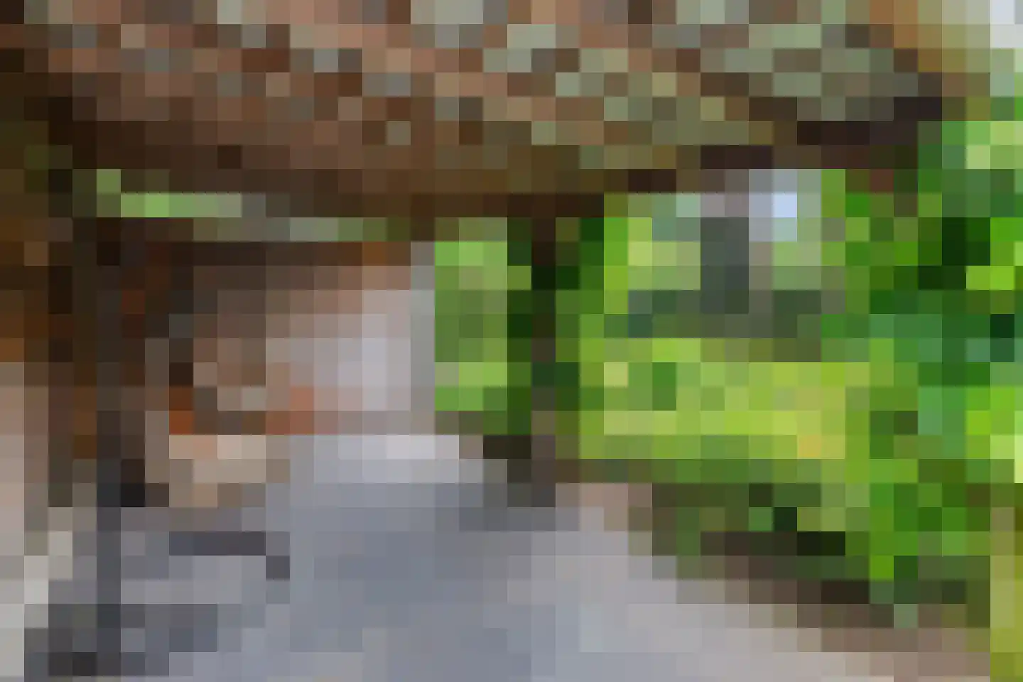 Enkstraat 113 Raalte thumbnail 55