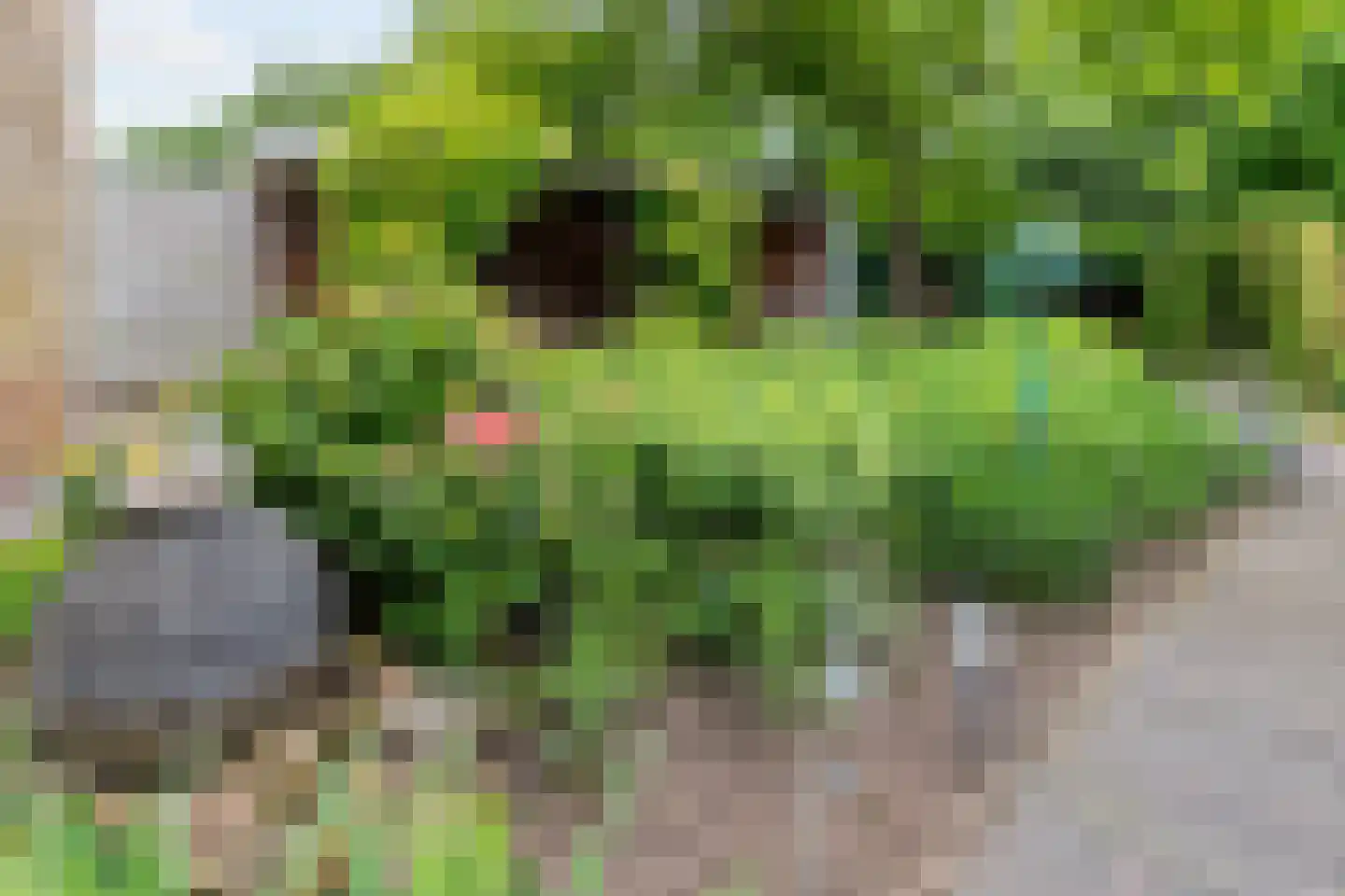 Enkstraat 113 Raalte thumbnail 56