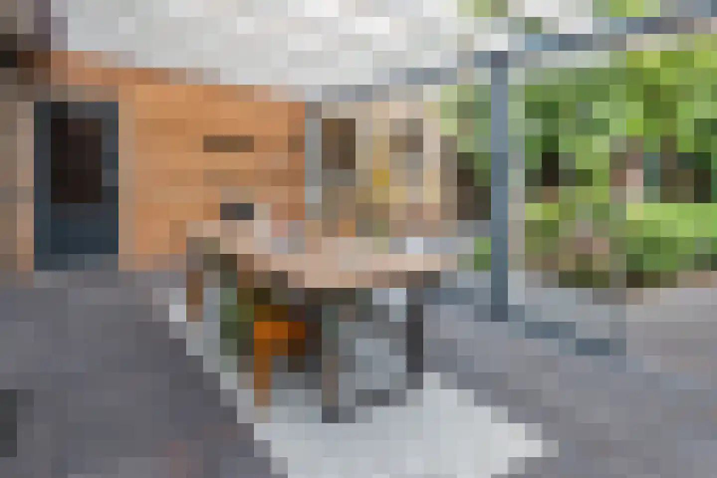 Enkstraat 113 Raalte thumbnail 58