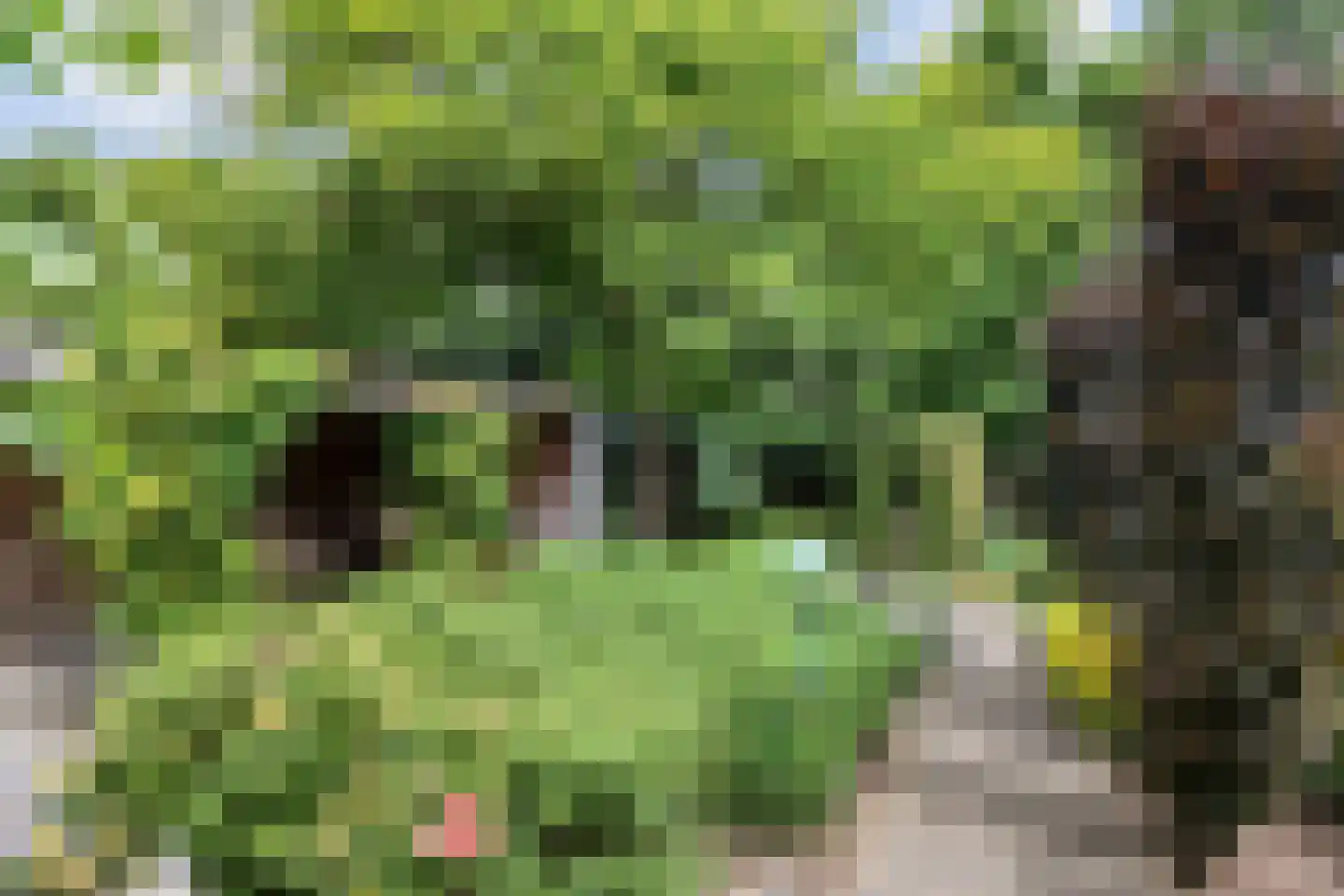 Enkstraat 113 Raalte thumbnail 59