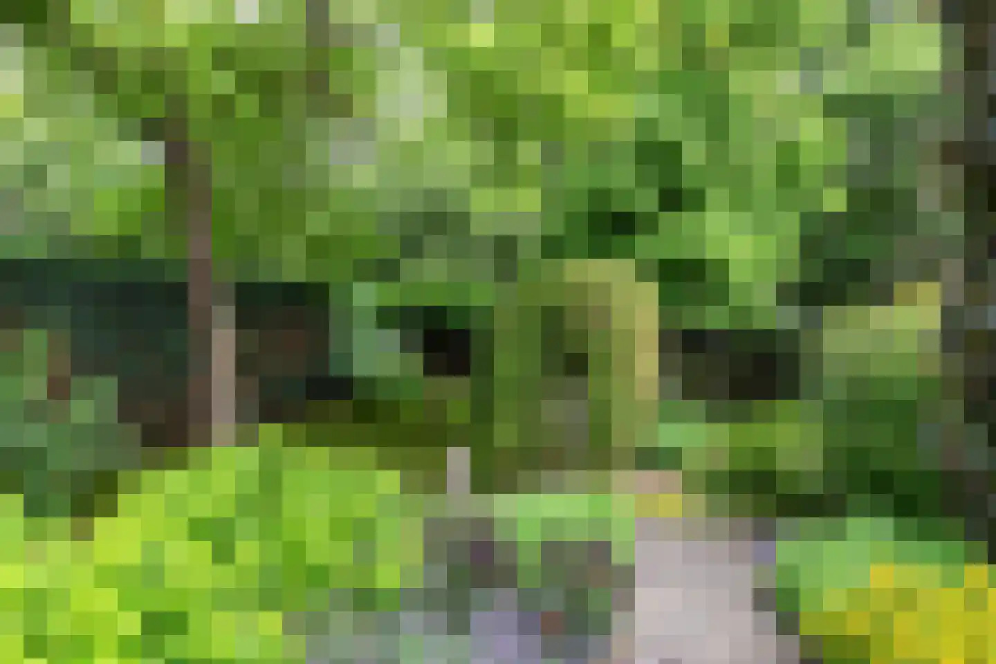 Enkstraat 113 Raalte thumbnail 60