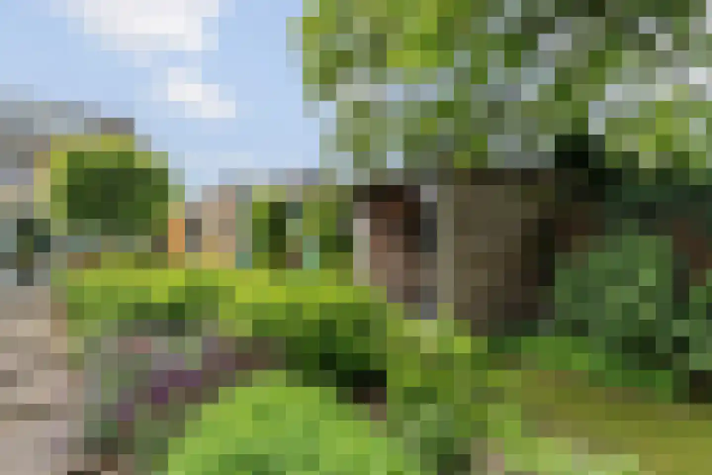 Enkstraat 113 Raalte thumbnail 61