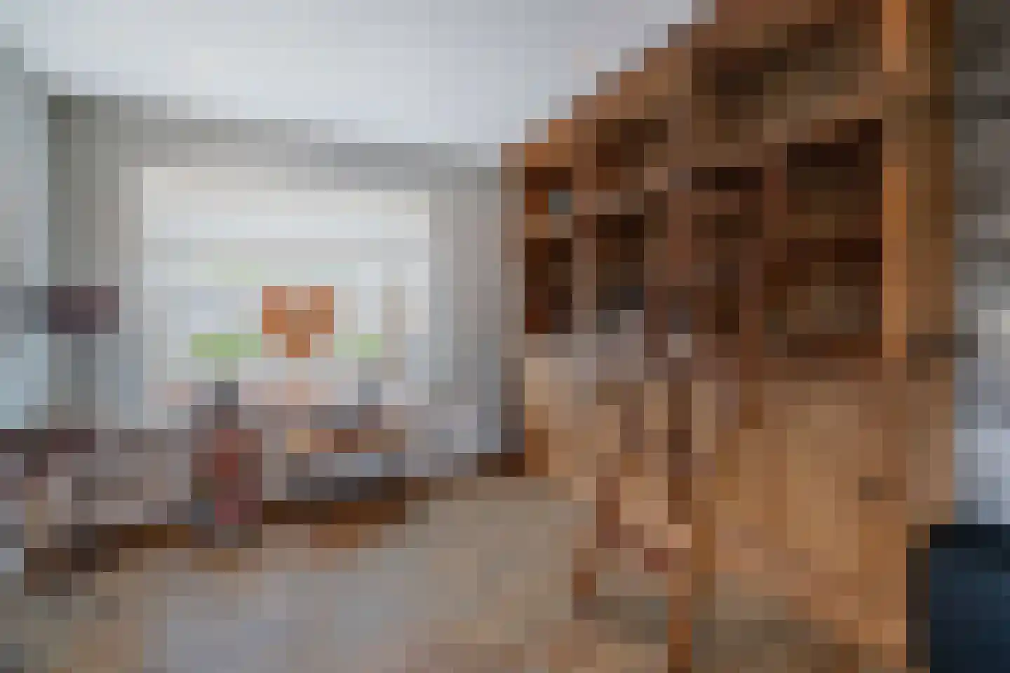 Enkstraat 113 Raalte thumbnail 9
