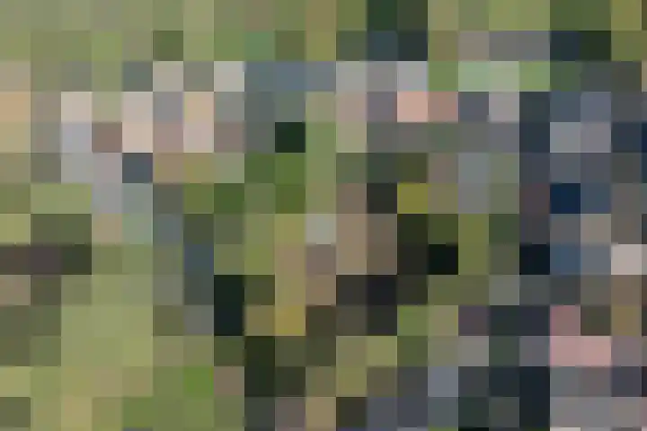 Enkstraat 118 Raalte thumbnail 31