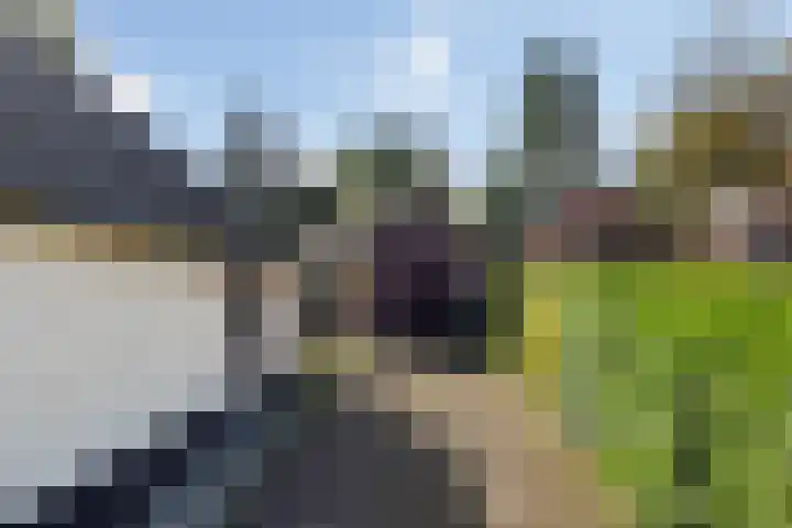 Enkstraat 118 Raalte thumbnail 4