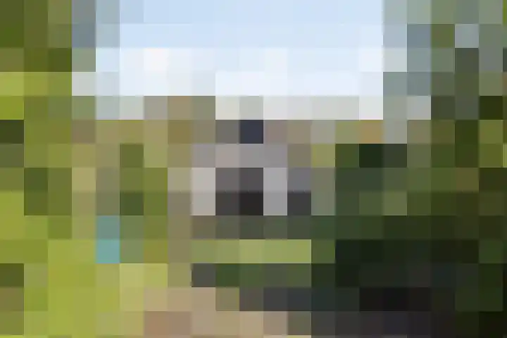 Enkstraat 118 Raalte thumbnail 6