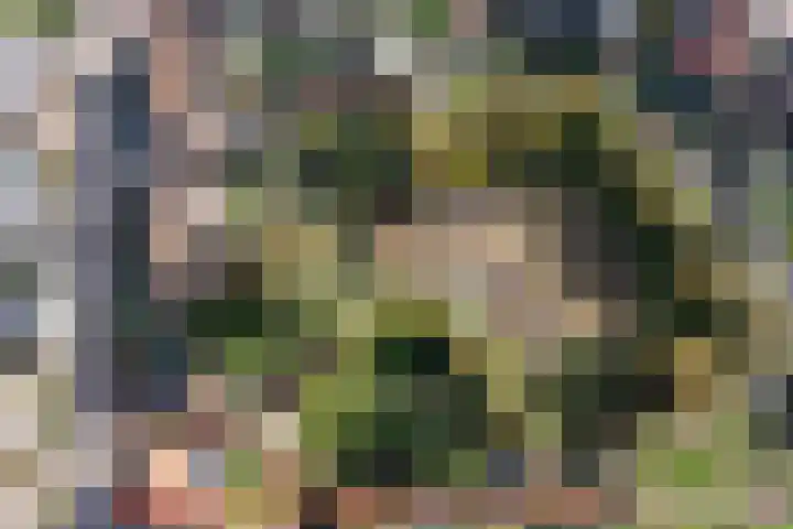 Enkstraat 118 Raalte thumbnail 7