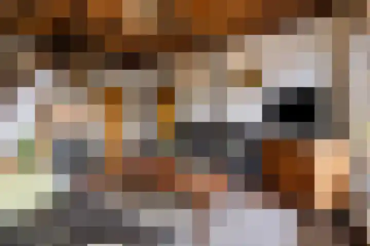 Enkstraat 118 Raalte thumbnail 8