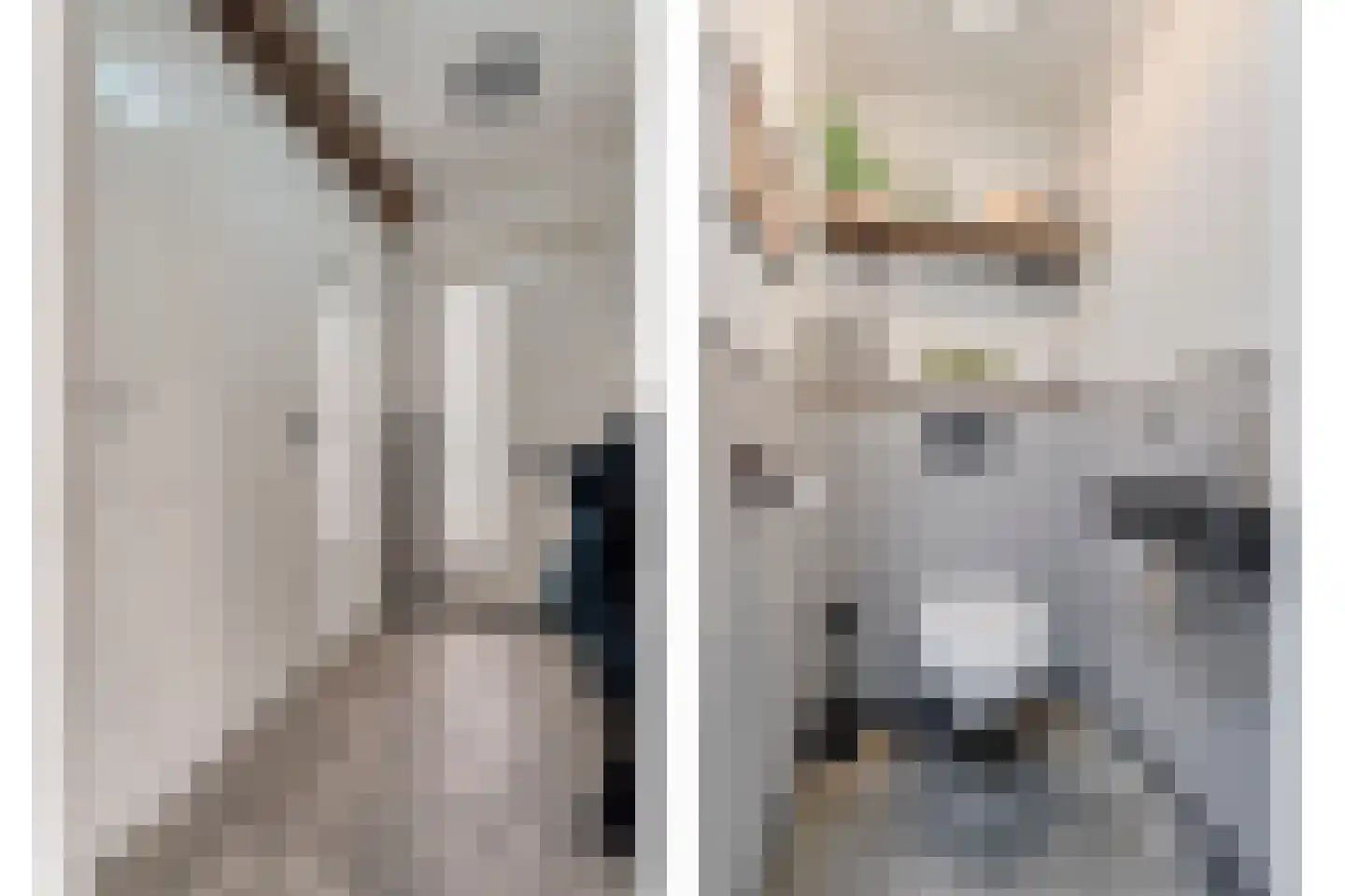 Enkstraat 13 Raalte thumbnail 10