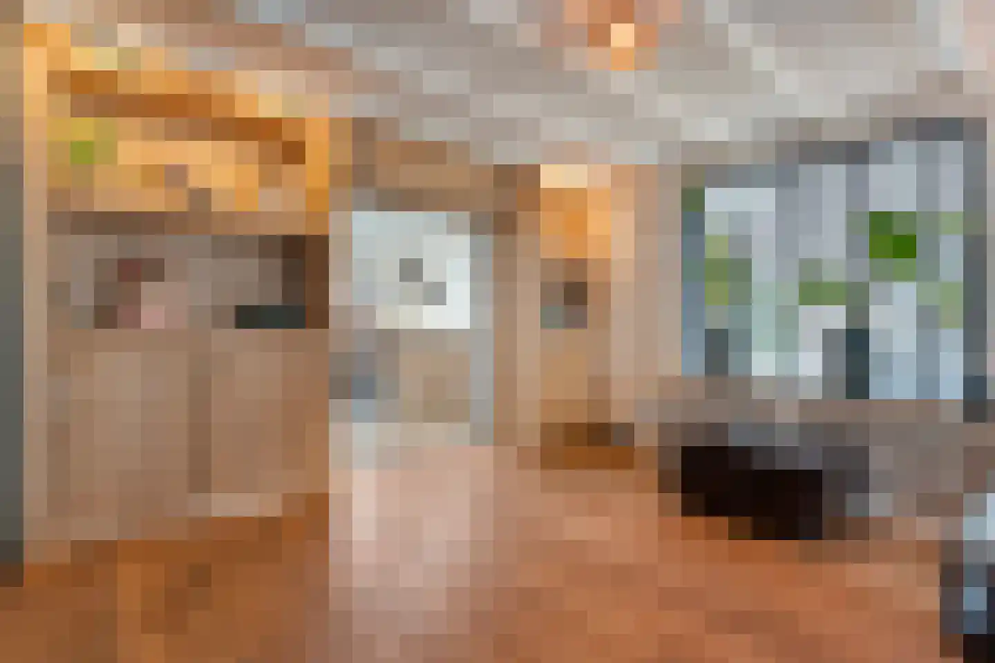 Enkstraat 13 Raalte thumbnail 17