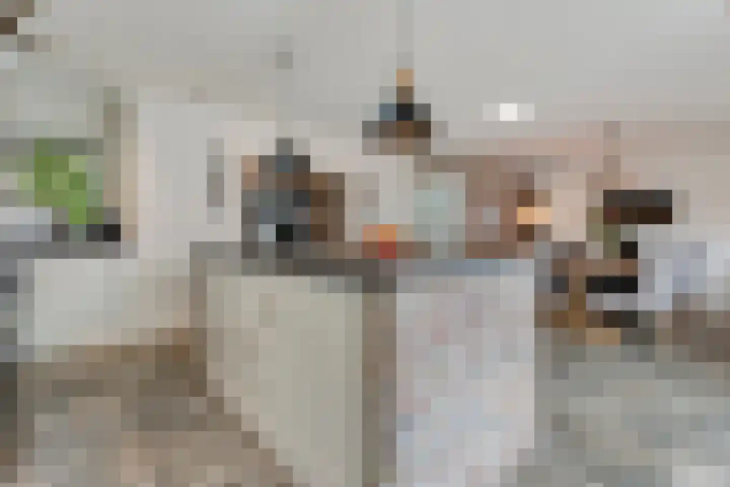 Enkstraat 13 Raalte thumbnail 22
