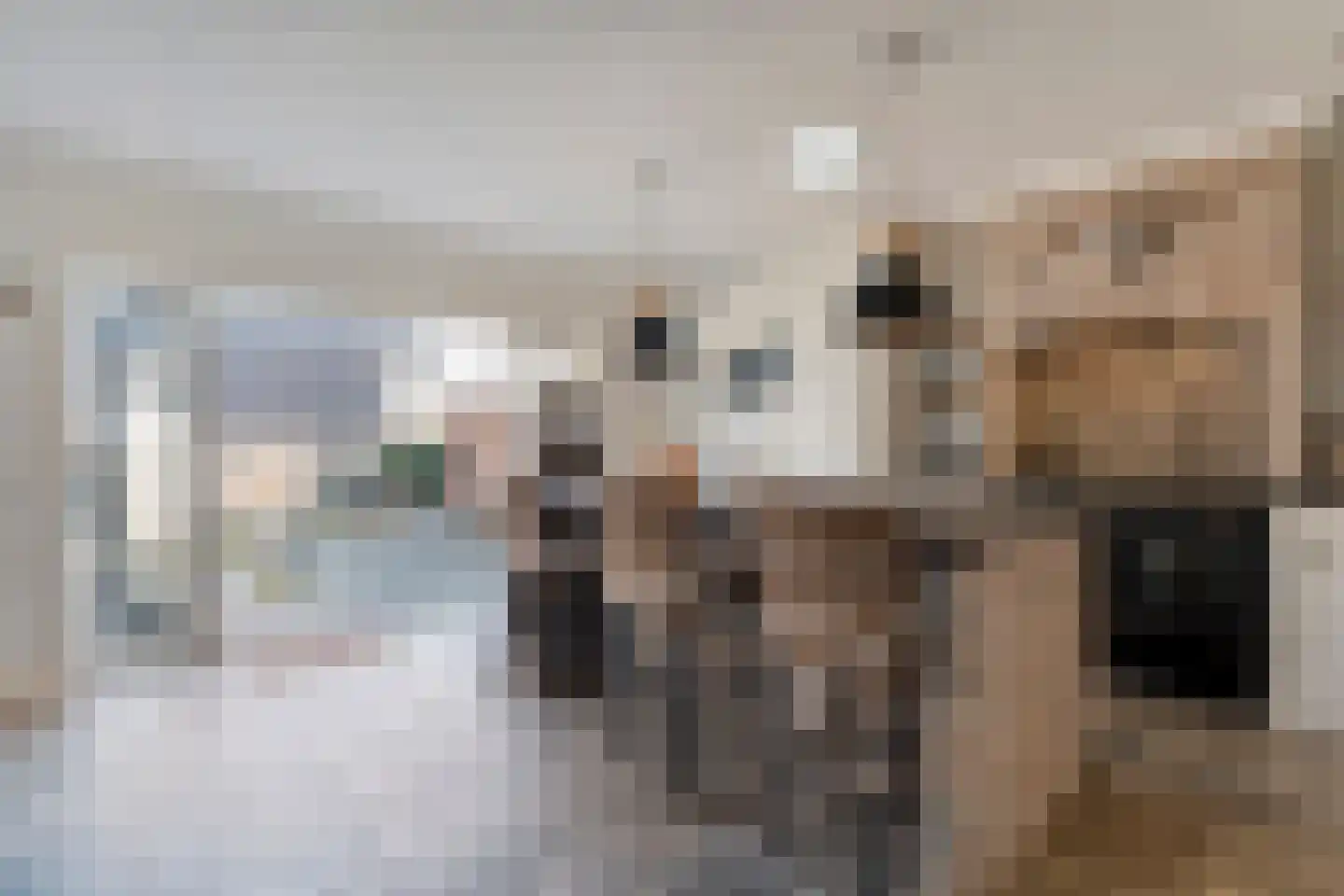 Enkstraat 13 Raalte thumbnail 25