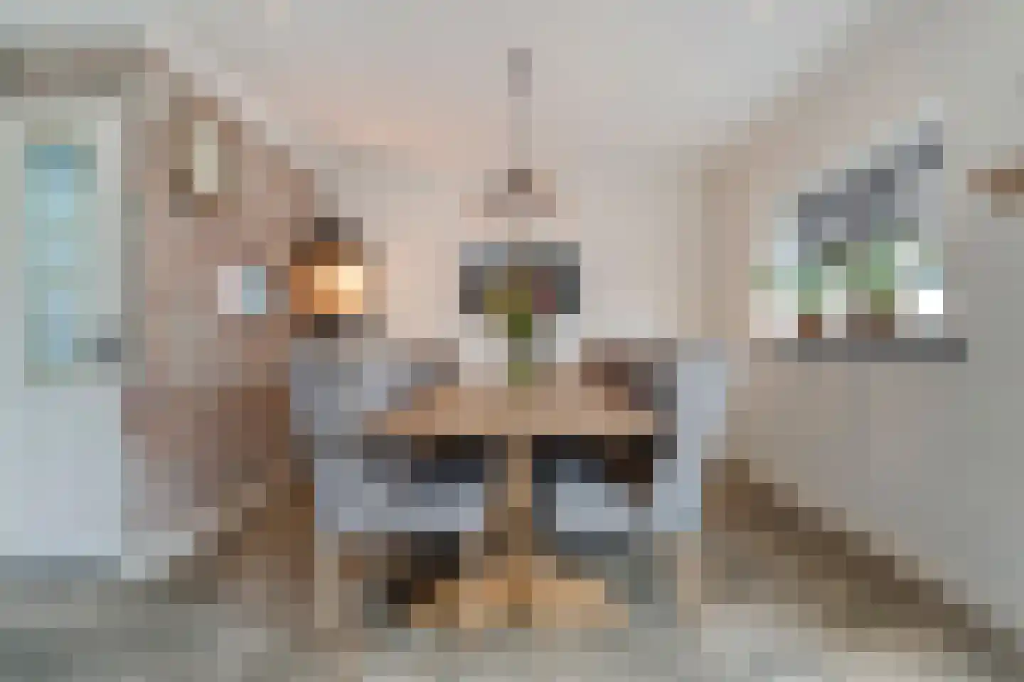 Enkstraat 13 Raalte thumbnail 26