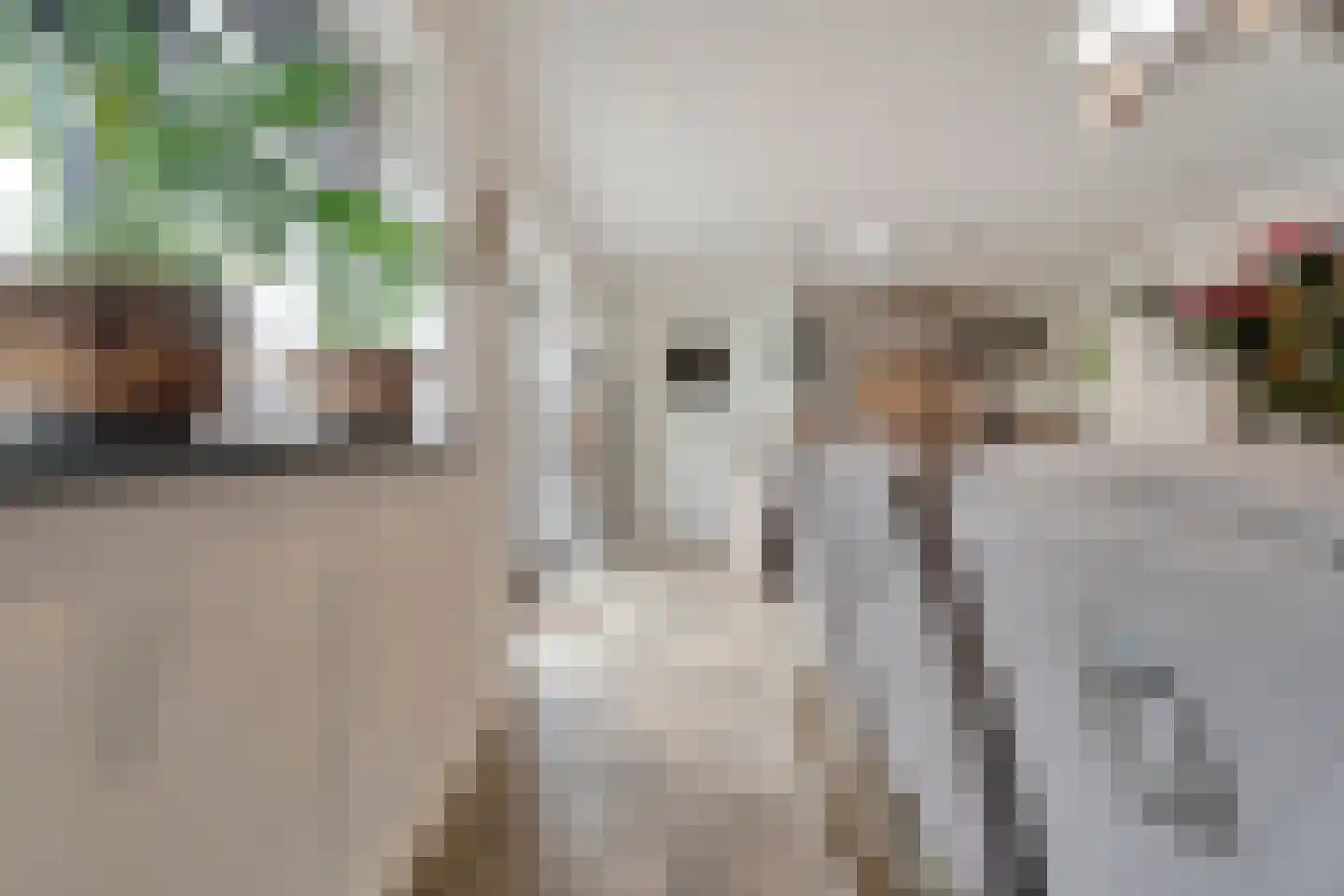 Enkstraat 13 Raalte thumbnail 28