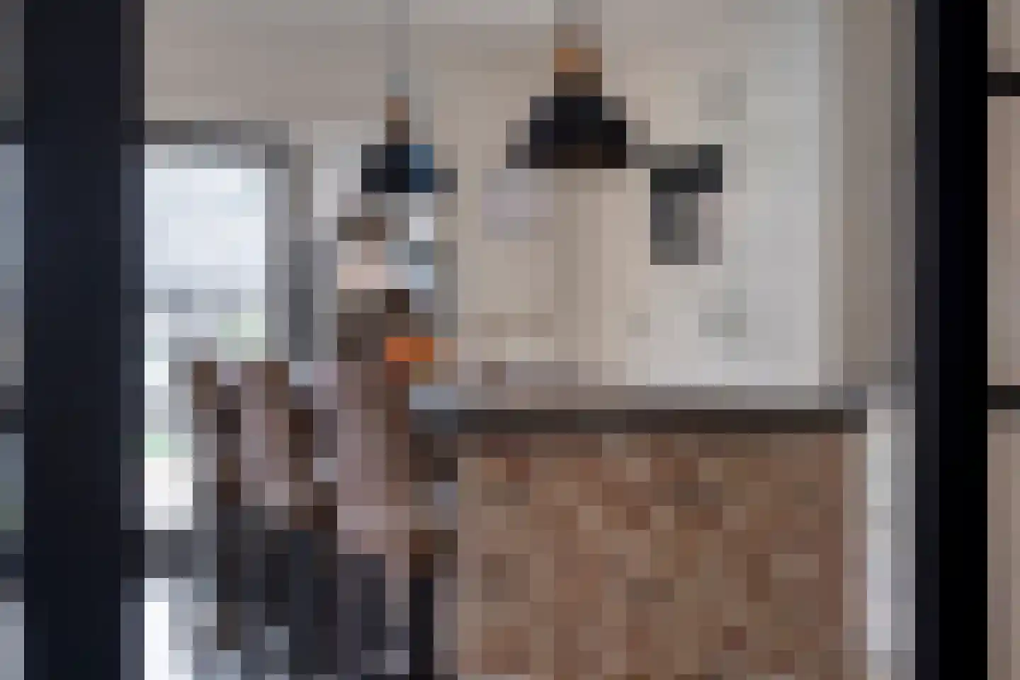 Enkstraat 13 Raalte thumbnail 31