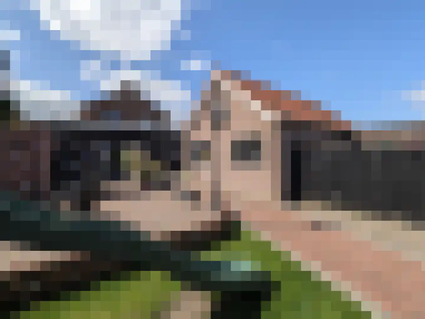 Enkstraat 13 Raalte thumbnail 51