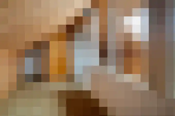 Enkstraat 132 Raalte thumbnail 33
