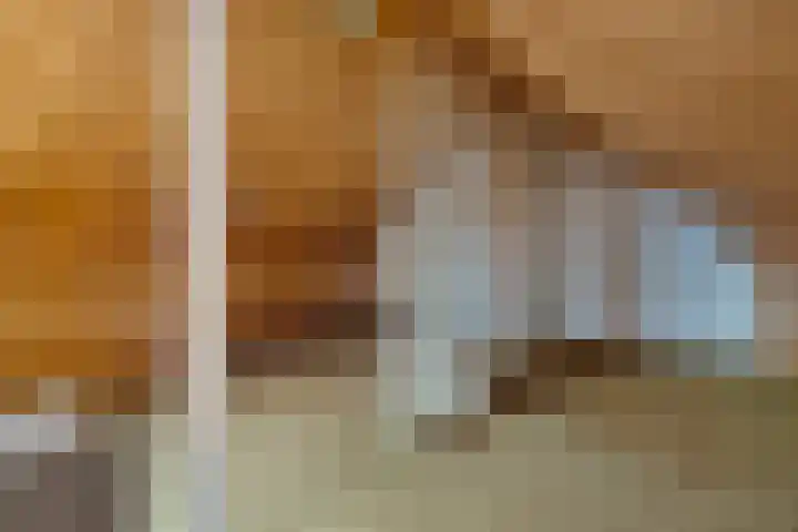 Enkstraat 132 Raalte thumbnail 34