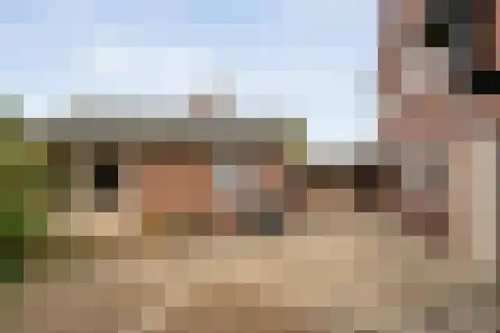 Enkstraat 132 Raalte thumbnail 38