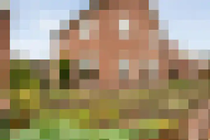 Enkstraat 132 Raalte thumbnail 9