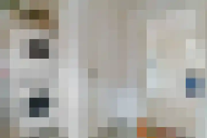 Enkstraat 17 Raalte thumbnail 27