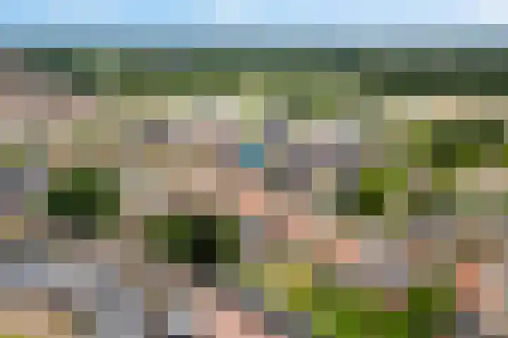 Enkstraat 17 Raalte thumbnail 4