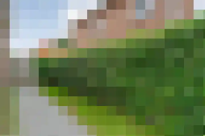 Enkstraat 17 Raalte thumbnail 40