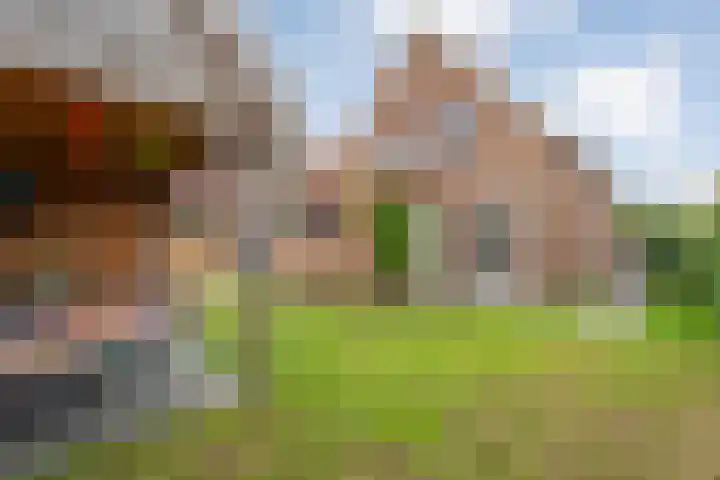 Enkstraat 17 Raalte thumbnail 41