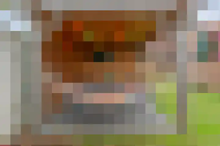 Enkstraat 17 Raalte thumbnail 42