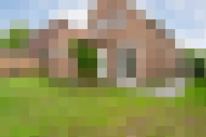 Enkstraat 17 Raalte thumbnail 43