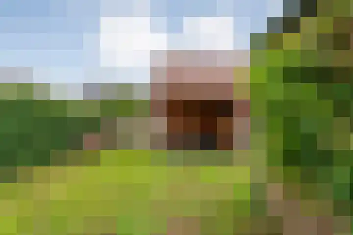 Enkstraat 17 Raalte thumbnail 44