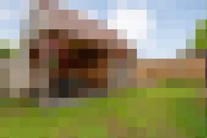 Enkstraat 17 Raalte thumbnail 45