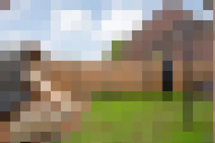 Enkstraat 17 Raalte thumbnail 46